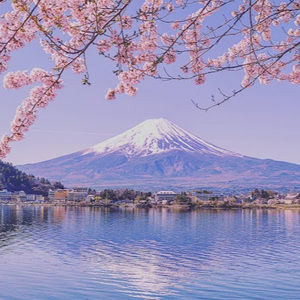 Meet your Posher, Jean